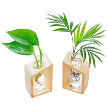 Load image into Gallery viewer, Hydroponic Vase Tube
